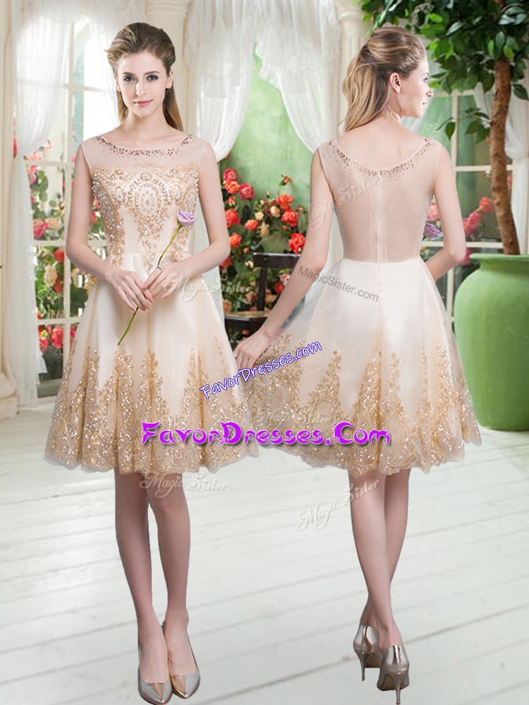  Tulle Scoop Sleeveless Zipper Beading and Appliques Homecoming Dress in Champagne