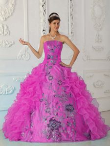 Exquisite Ruffled Strapless Quinces Dresses with Embroidery in Hot Pink for 2014