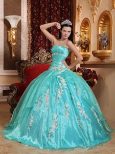 Iconic Quinceanera Gown in Organza with Appliques in Turquoise