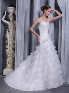 Sweetheart Court Train Outdoor Wedding Dress in Organza with Appliques