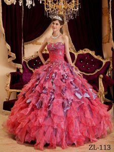 Watermelon Sweet Sixteen Dresses in Leopard and Organza
