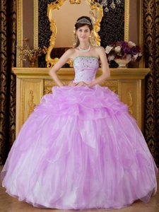 Lavender Ball Gown Quinceanera Dresses in Organza with Pick Ups